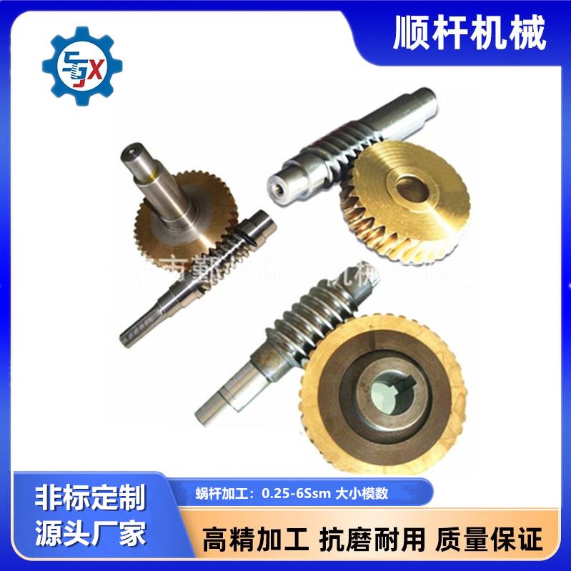 蝸杆渦輪傳（chuán）動件 高精度蝸杆加工 各類非標（biāo）定製廠家